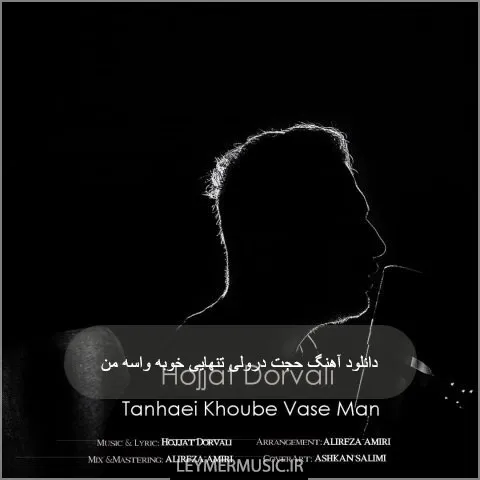 دانلود آهنگ تنهایی خوبه واسه من حجت درولی